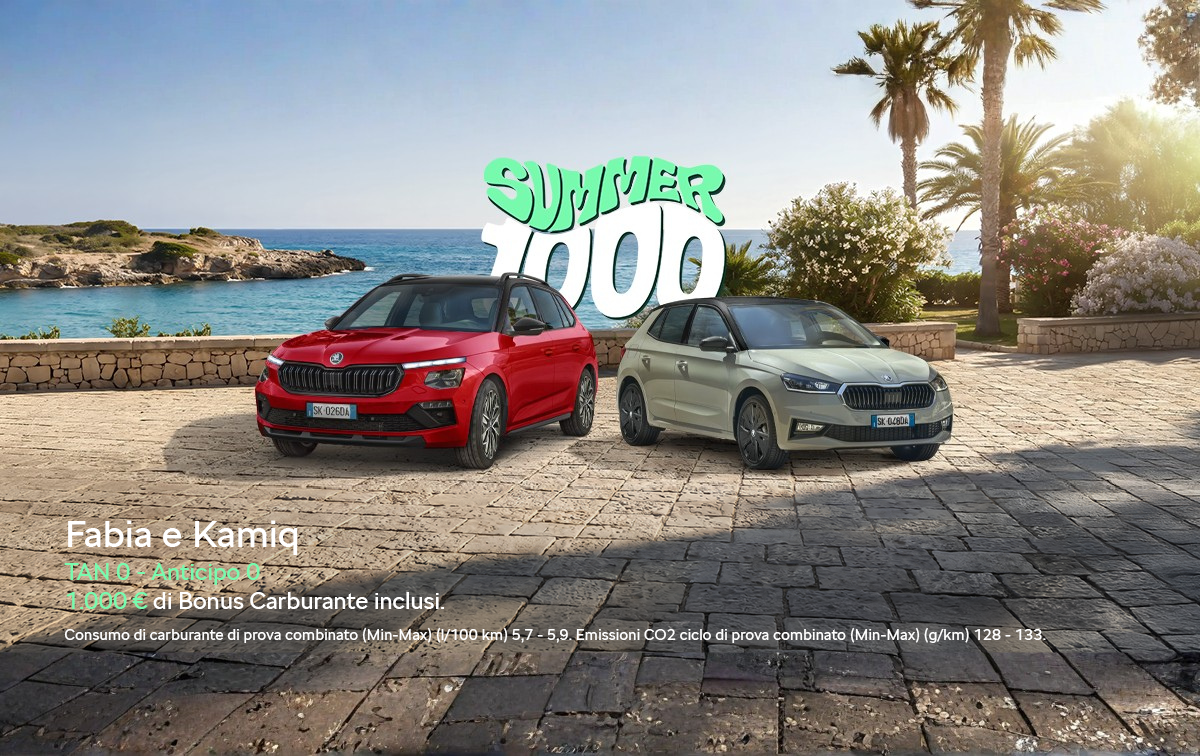 Skoda Fabia immagine 3