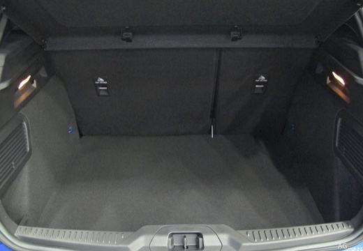Ford Focus 5 Porte immagine 13