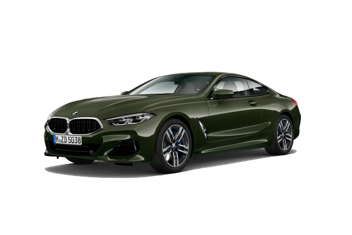 BMW Serie 8 Coupe immagine 1