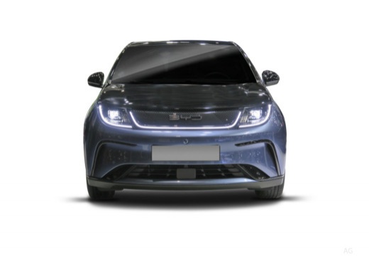 Byd Dolphin immagine 3