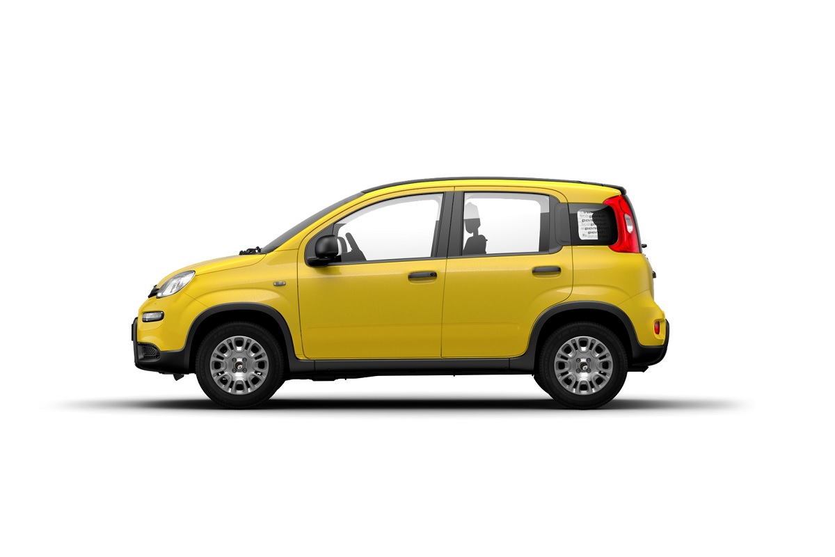 Fiat Panda immagine 12