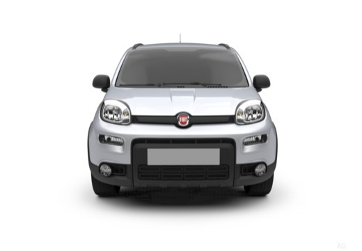Fiat Panda immagine 15