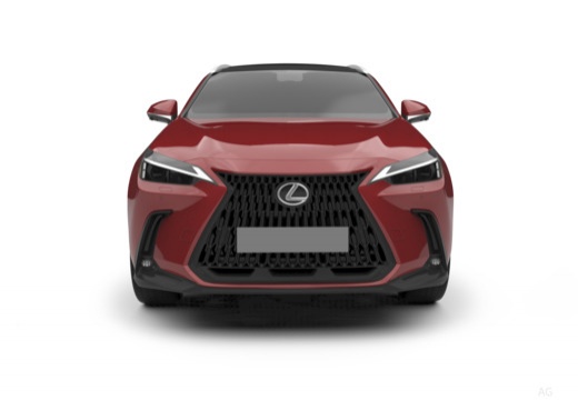 Lexus NX immagine 6