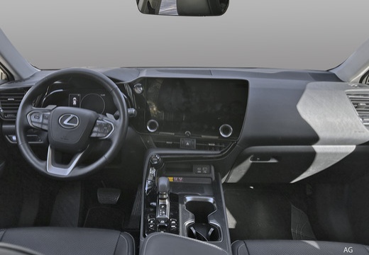 Lexus NX immagine 12