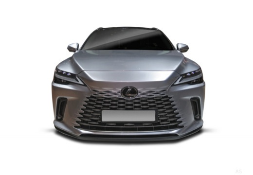 Lexus RX immagine 7