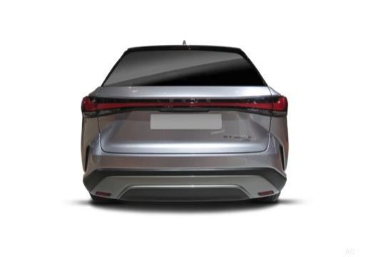 Lexus RX immagine 8