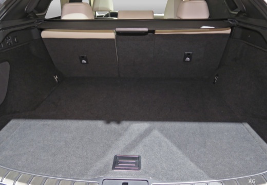 Lexus RX immagine 13
