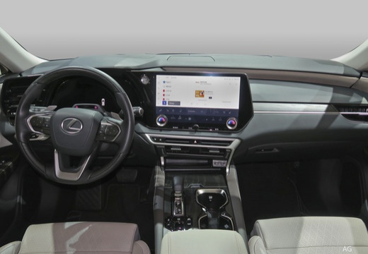 Lexus RX immagine 12