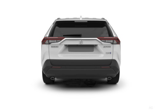 Suzuki Across immagine 5