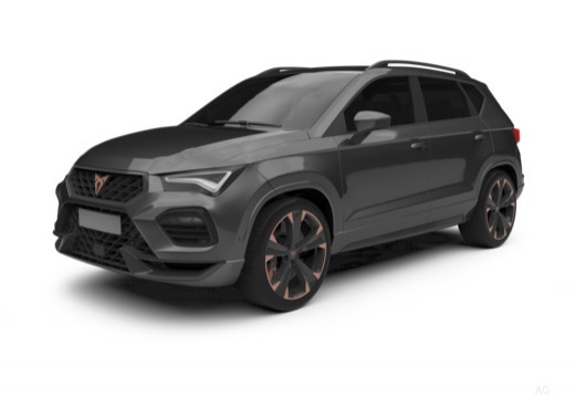 Cupra Ateca immagine 18