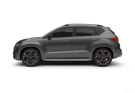 Cupra Ateca immagine 19