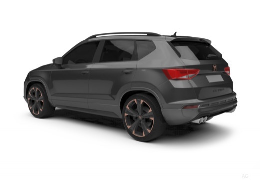 Cupra Ateca immagine 14