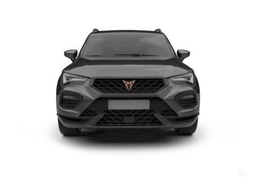 Cupra Ateca immagine 15