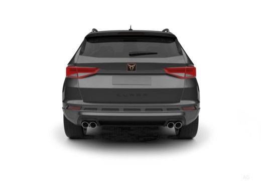 Cupra Ateca immagine 16