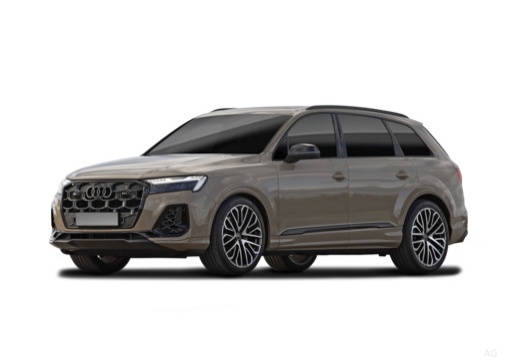 Audi Q7 immagine 13