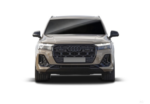 Audi Q7 immagine 14