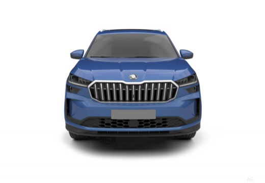 Skoda Kodiaq immagine 6