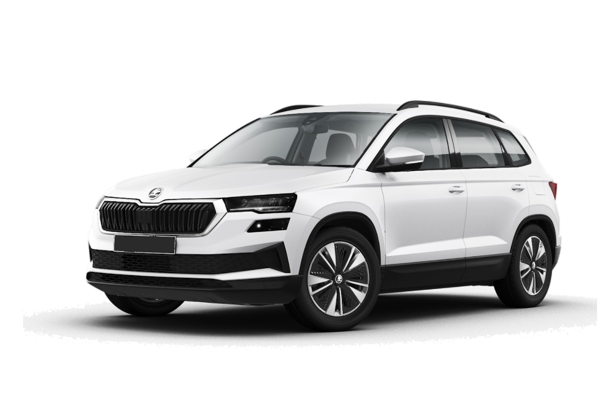 Skoda Karoq immagine 12