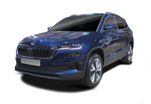 Skoda Karoq immagine 3