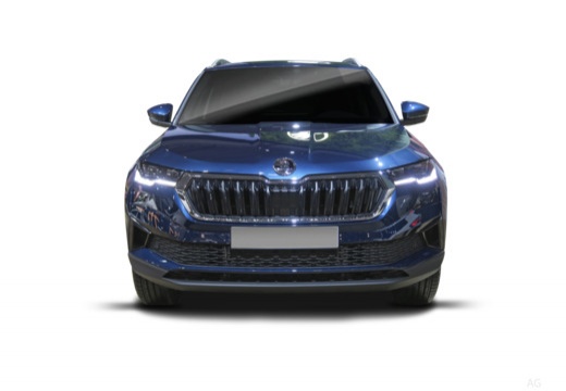 Skoda Karoq immagine 5
