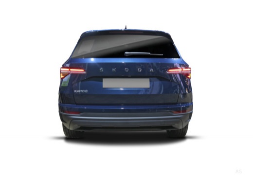 Skoda Karoq immagine 7