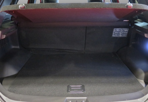 SWM G01F immagine 10