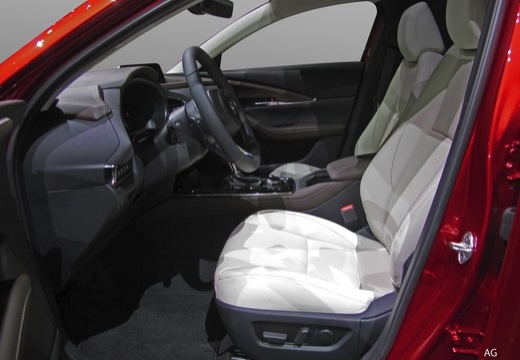 Mazda CX-30 immagine 8