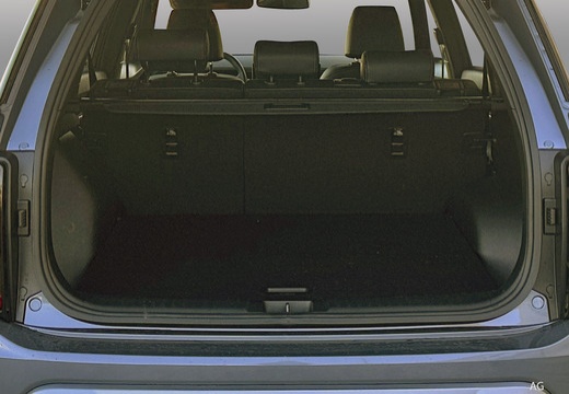 Kgm Torres immagine 8