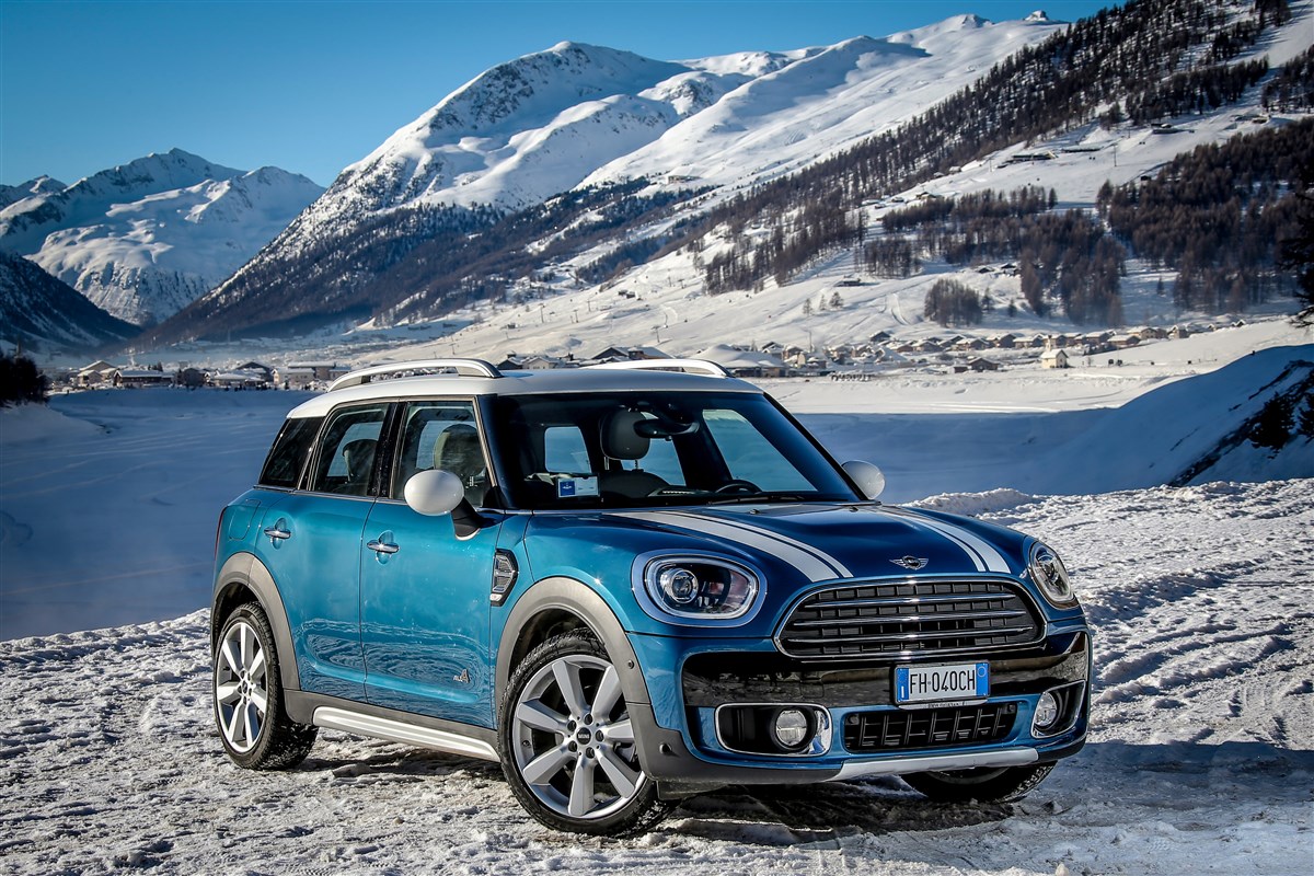 Mini Mini Countryman immagine 2