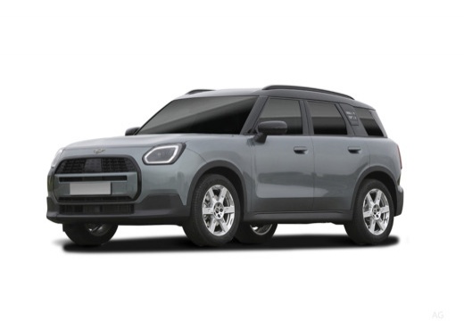 Mini Mini Countryman immagine 4