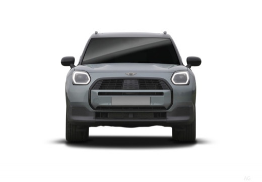 Mini Mini Countryman immagine 5