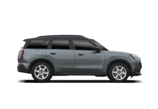 Mini Mini Countryman immagine 7